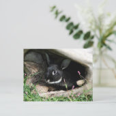 Hallo Postkarte (Stehend Vorderseite)