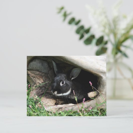 Hallo Postkarte (Stehend Vorderseite)