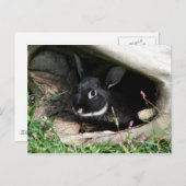 Hallo Postkarte (Vorne/Hinten)