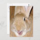 Hallo Postkarte (Vorne/Hinten)