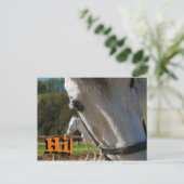Hallo! Postkarte (Stehend Vorderseite)