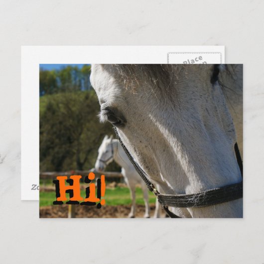 Hallo! Postkarte (Vorne/Hinten)