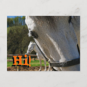 Hallo! Postkarte