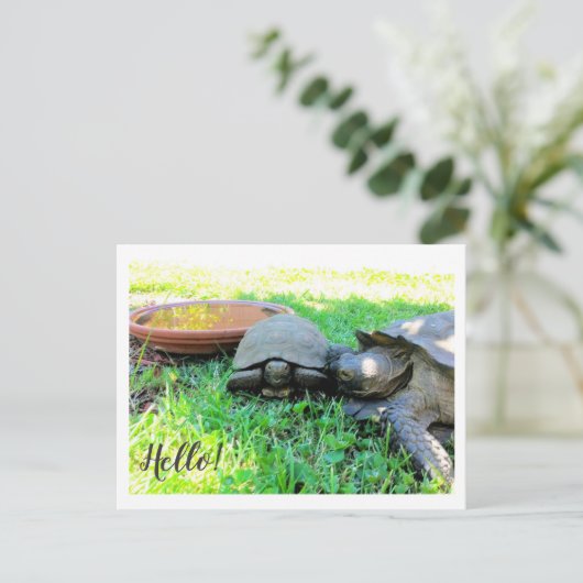 Hallo! Postkarte (Stehend Vorderseite)