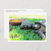 Hallo! Postkarte (Vorne/Hinten)