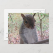 Hallo! Postkarte (Vorne/Hinten)