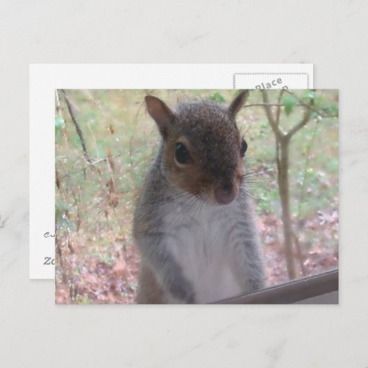 Hallo! Postkarte (Vorne/Hinten)