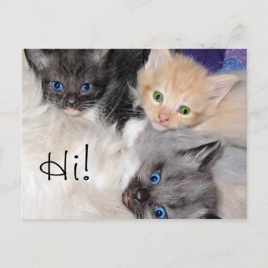 Hallo! Postkarte (Vorderseite)