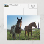 Hallo Postkarte (Vorne/Hinten)