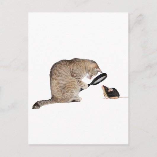 Hallo? Postkarte (Vorderseite)