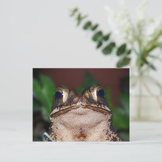 Hallo ! Postkarte (Stehend Vorderseite)