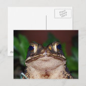 Hallo ! Postkarte (Vorne/Hinten)