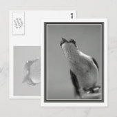 Hallo Postkarte (Vorne/Hinten)