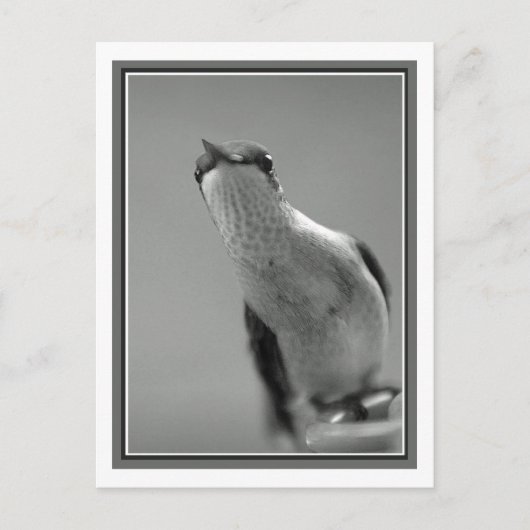 Hallo Postkarte (Vorderseite)