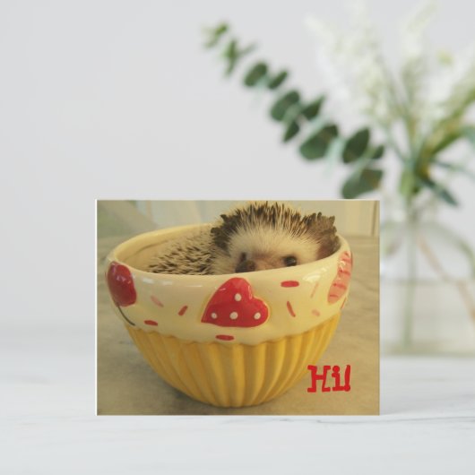 Hallo! Postkarte (Stehend Vorderseite)