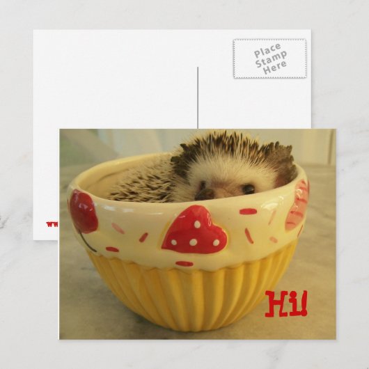 Hallo! Postkarte (Vorne/Hinten)