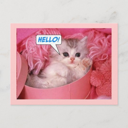 Hallo Postkarte (Vorderseite)