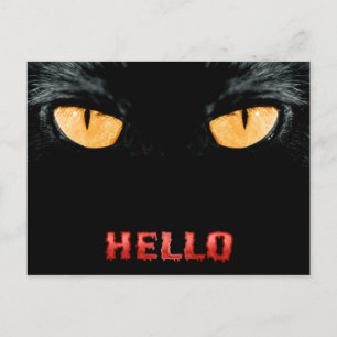 hallo  postkarte
