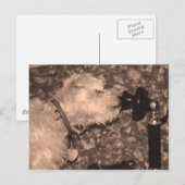 Hallo Postkarte (Vorne/Hinten)