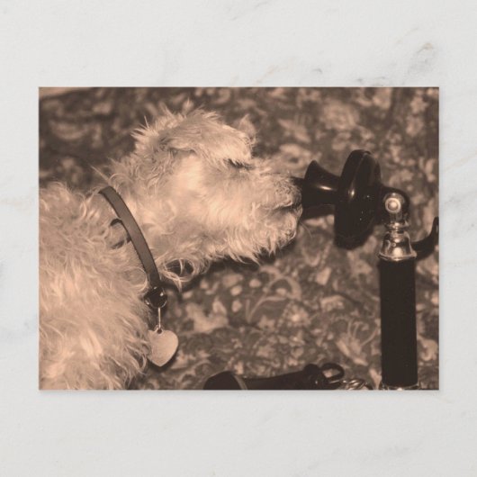 Hallo Postkarte (Vorderseite)