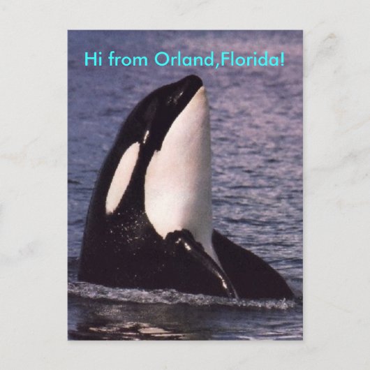 Hallo Postkarte (Vorderseite)