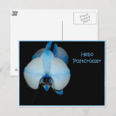 Hallo Postkreuz Postkarte (Vorne/Hinten)