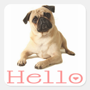 Hallo Pug Welpe Hund Aufkleber / Etikett