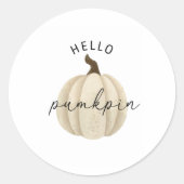 Hallo Pumpkin - Herbst Runder Aufkleber (Vorderseite)
