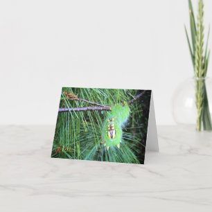 hallo Raupe notecard Karte