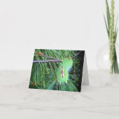 hallo Raupe notecard Karte (Vorderseite)