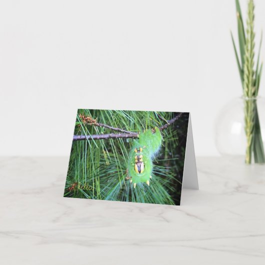 hallo Raupe notecard Karte (Vorderseite)