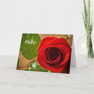 Hallo Rose Gruß Karte