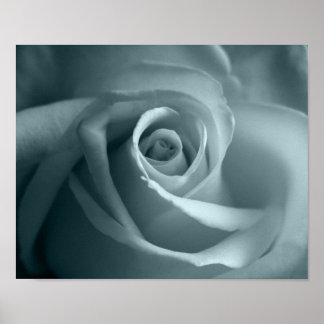 Hallo Rose Poster