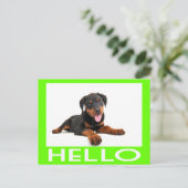 Hallo Rottweiler Welpe Hund Gruß Postkarte (Stehend Vorderseite)