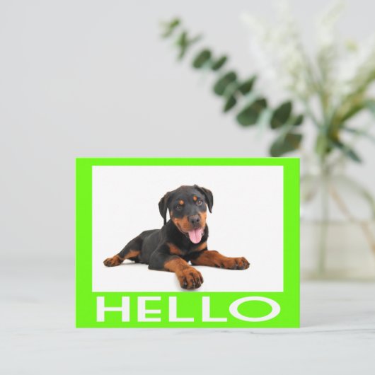 Hallo Rottweiler Welpe Hund Gruß Postkarte (Stehend Vorderseite)