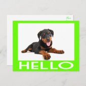 Hallo Rottweiler Welpe Hund Gruß Postkarte (Vorne/Hinten)