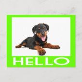 Hallo Rottweiler Welpe Hund Gruß Postkarte (Vorderseite)