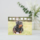 Hallo Rottweiler Welpe Hund Gruß Postkarte (Stehend Vorderseite)