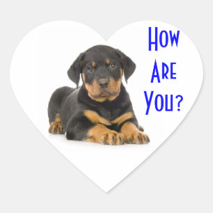 Hallo Rottweiler Welpen Hund Gruß Aufkleber