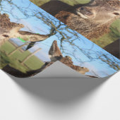 Hallo Rotwild Geschenkpapier (Ecke)