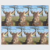 Hallo Rotwild Geschenkpapier (Flach)