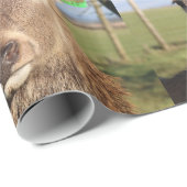 Hallo Rotwild Geschenkpapier (Rolleneckpunkt)