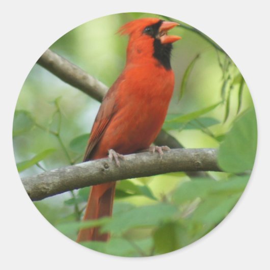 Hallo! Runder Aufkleber (Vorderseite)