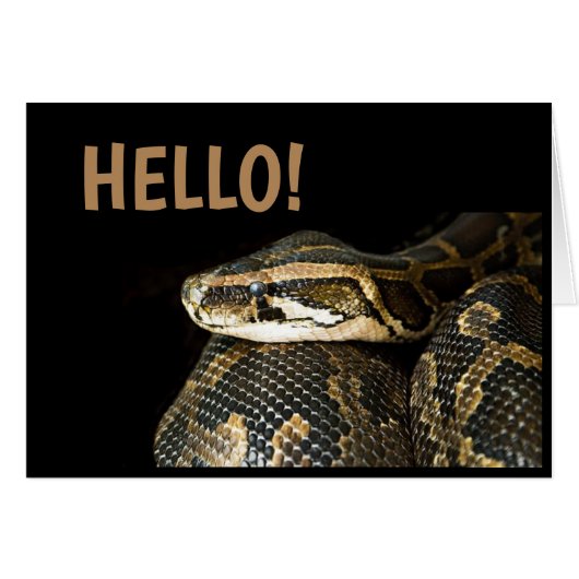 "HALLO"/ Schlange, Leere Grußkarte (Vorderseite (Horizontal))