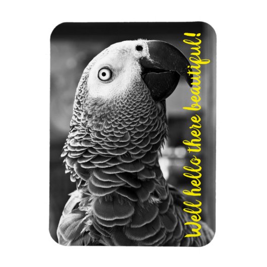 Hallo schön - Ein grauer Papagei. Magnet (Vertikal)