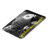 Hallo schön - Ein grauer Papagei. Magnet (Linke Seite)