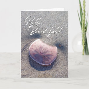 Hallo schöne Live-Sand-Dollar-Fotokarte Dankeskarte
