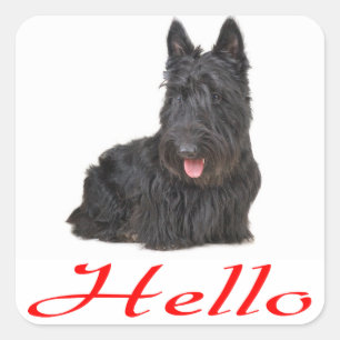 Hallo Scottish Terrier Puppy Dodge Sticker / Label