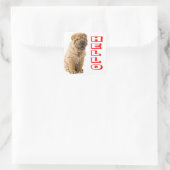 Hallo Shar Pei Puppy Dog Sticker / Siegel (Tasche)