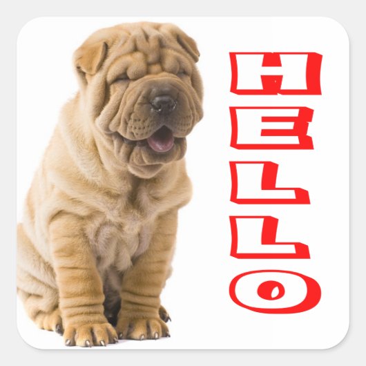 Hallo Shar Pei Puppy Dog Sticker / Siegel (Vorderseite)